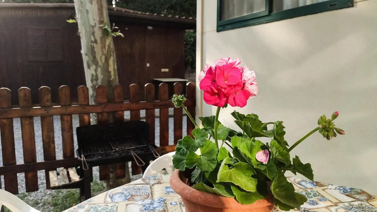 Hotel La Pineta Albenga